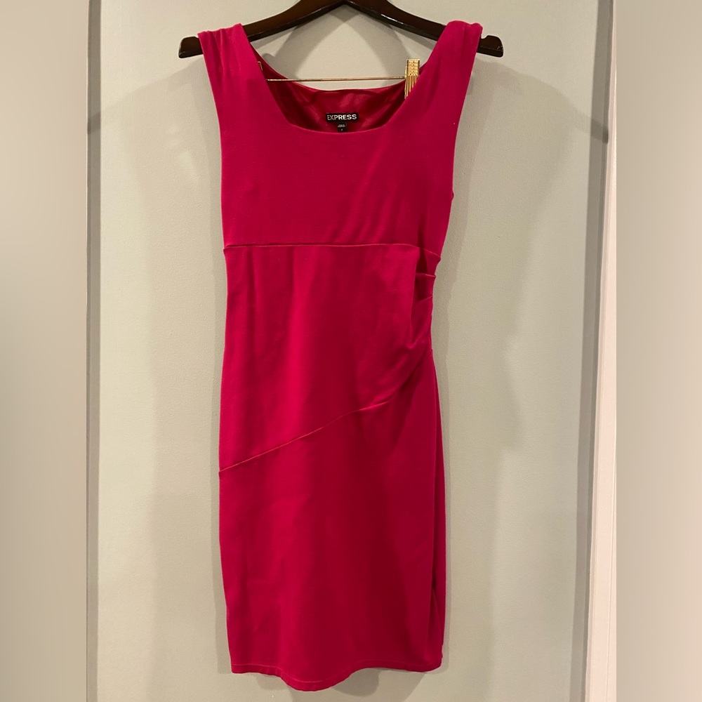 Express Short Pink Dress